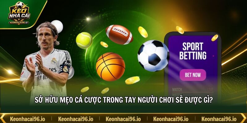 Sở hữu mẹo cá cược trong tay người chơi sẽ được gì?
