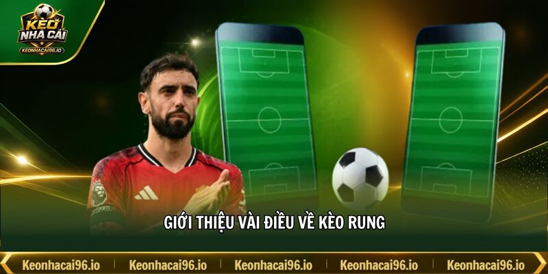 Giới thiệu vài điều về kèo rung Giới thiệu vài điều về kèo rung