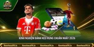 Kinh nghiệm đánh kèo rung chuẩn nhất 2026
