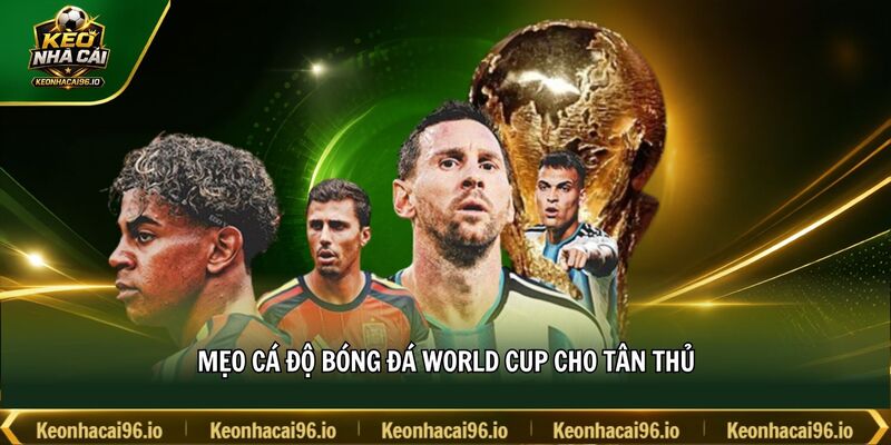 Mẹo cá độ bóng đá World Cup cho tân thủ Mẹo cá độ bóng đá World Cup cho tân thủ
