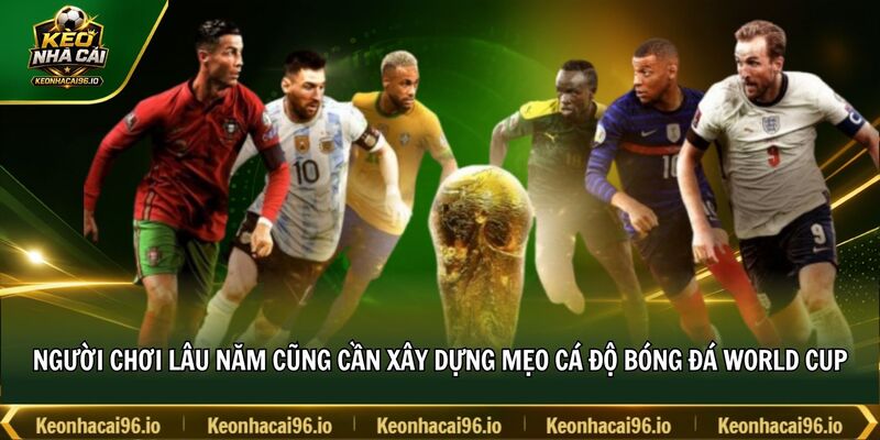 Người chơi lâu năm cũng cần xây dựng mẹo cá độ bóng đá World Cup Người chơi lâu năm cũng cần xây dựng mẹo cá độ bóng đá World Cup
