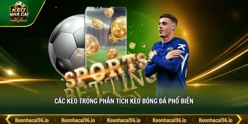 Các kèo trong phân tích kèo bóng đá phổ biến Các kèo trong phân tích kèo bóng đá phổ biến