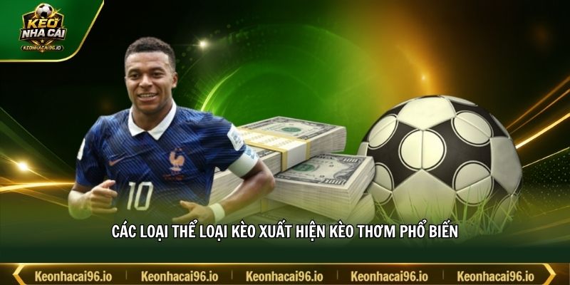Các loại thể loại kèo xuất hiện kèo thơm phổ biến Các loại thể loại kèo xuất hiện kèo thơm phổ biến
